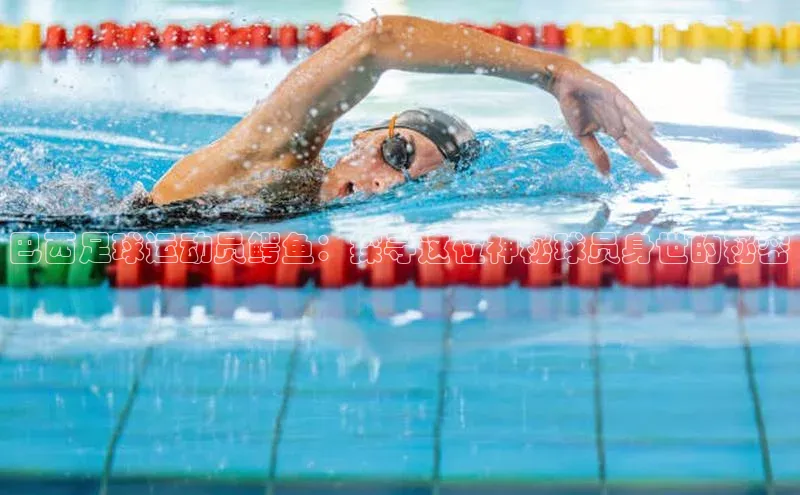 杏耀平台官方登录百度识图