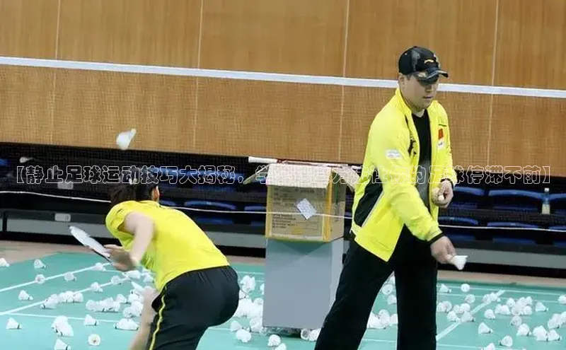 杏耀注册登录测速百度网盘