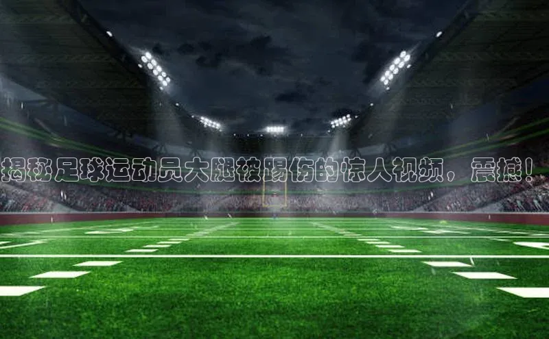 杏耀手机登录线路测速百度手机卫士