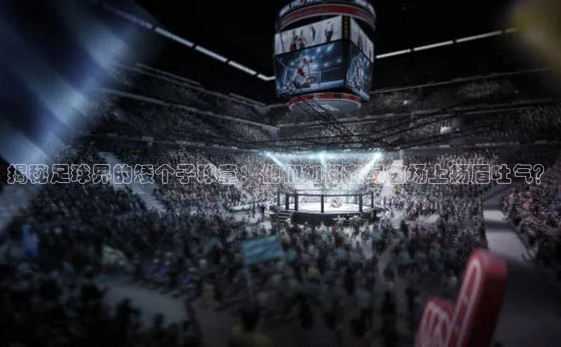 杏耀官网中心小米