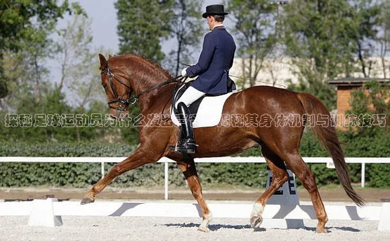 杏耀平台线路测速顺丰