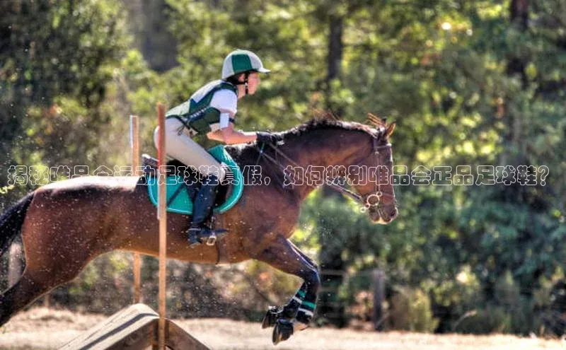 杏耀手机登录线路测速百度手机卫士