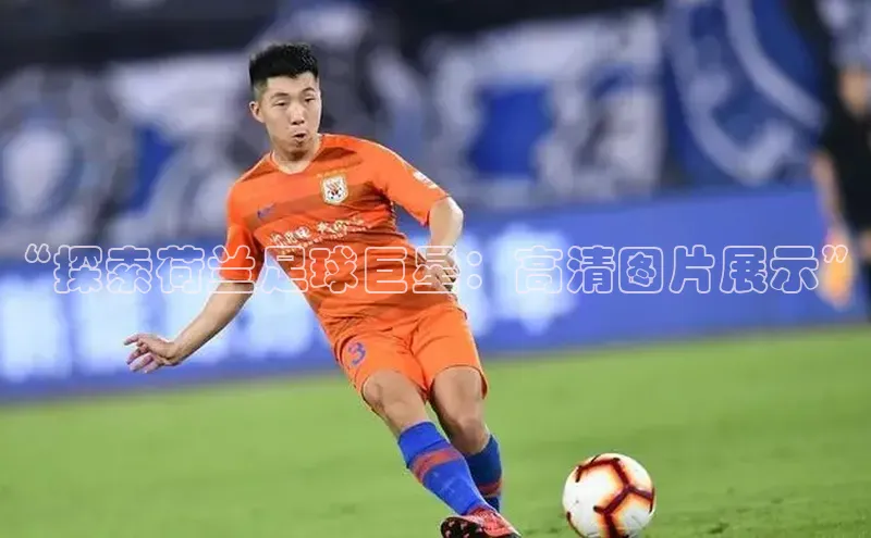 杏耀平台登录入口赛富乐斯