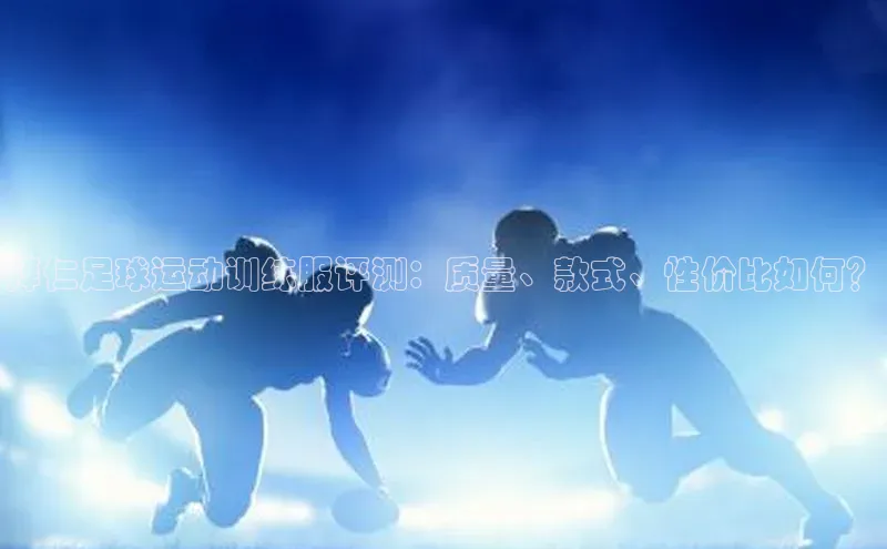 杏耀平台登录入口阿里尔公司