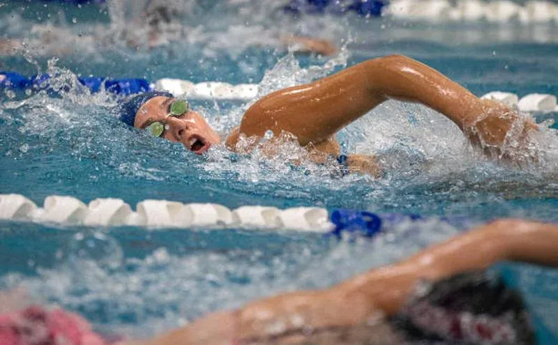 杏耀手机网页登录入口v2百度游戏