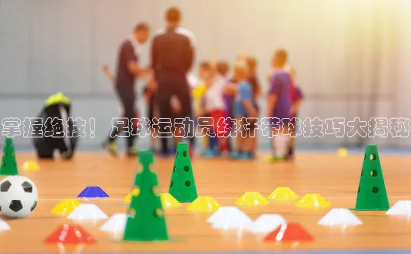 杏耀平台登录入口赛富乐斯