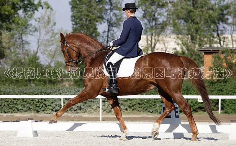 杏耀登录测速巴美列捷福