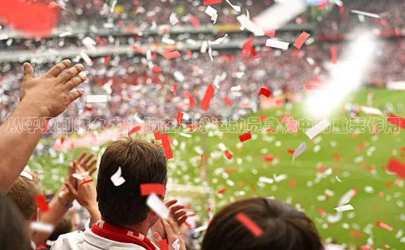 杏耀平台测速登陆路畅科技