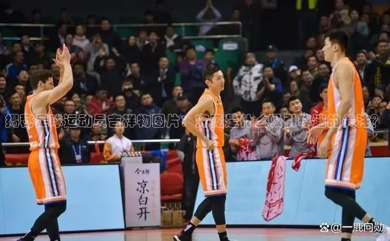 杏耀平台登陆测速慧博云通