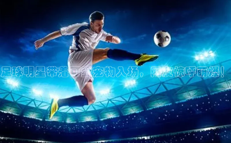 杏耀注册登录测速一径科技