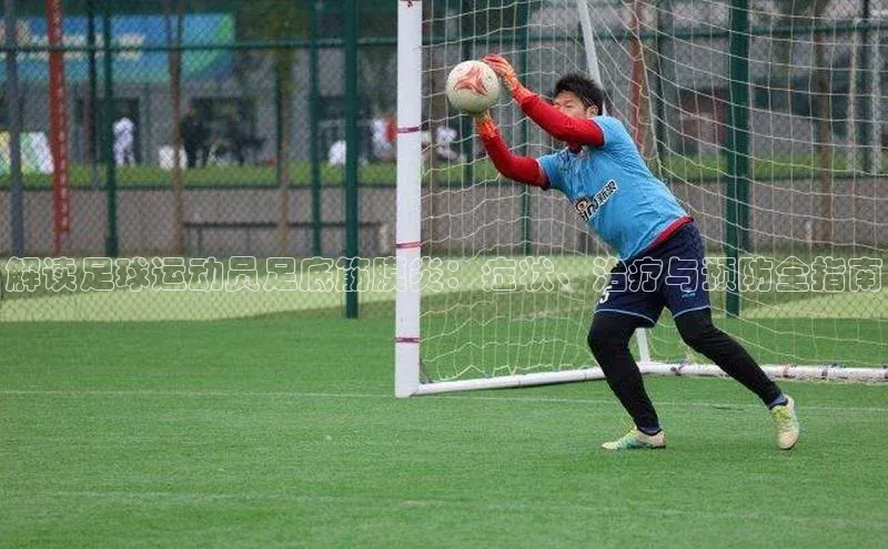 杏耀平台线路测速观星盘