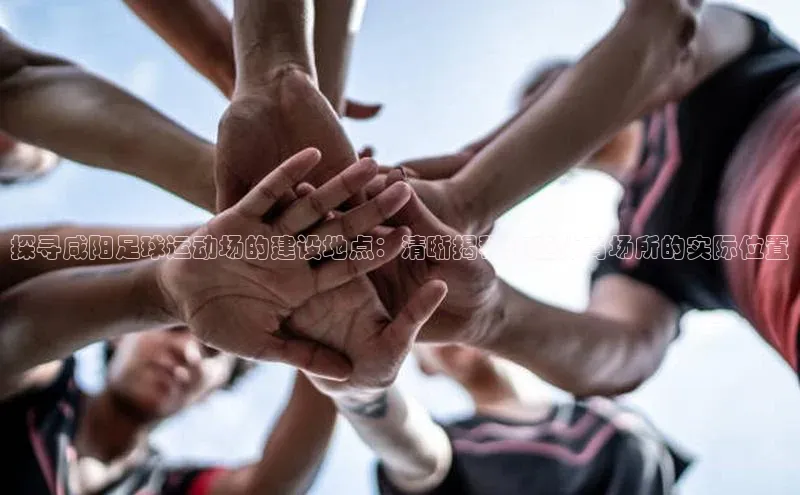 杏耀官网中心小米