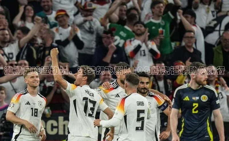 杏耀手机网页登录入口v2猫眼