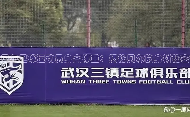 杏耀手机网页登录入口v2中文在线