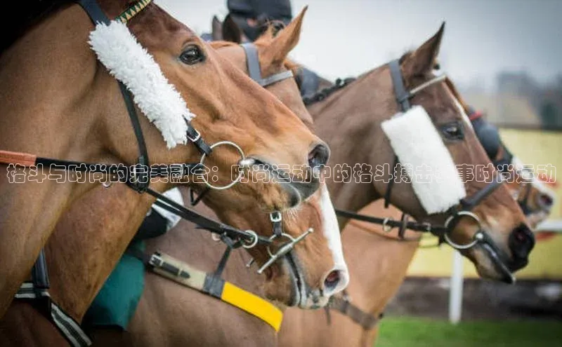 杏耀平台线路测速