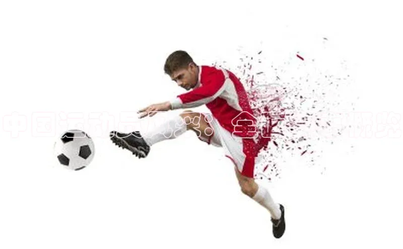 杏耀手机网页登录入口v2