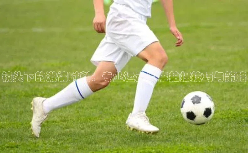 杏耀手机网页登录入口v2